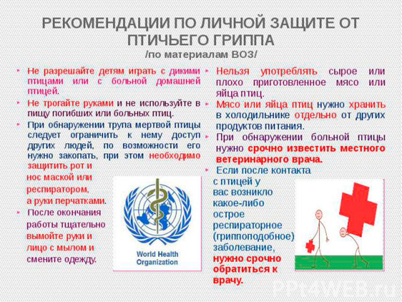 ПАМЯТКА о мерах по предотвращению заражения гриппом птиц