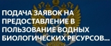 Прием заявок на предоставление водных биологических ресурсов на 2027 год