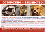 Осторожно - бешенство!