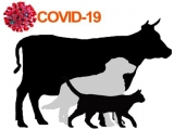 Рекомендации владельцам домашних животных с целью недопущения распространения новой коронавирусной инфекции (COVID-19).