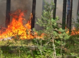  Оперативная информация о ситуации с лесными пожарами в Югре на 22 июля