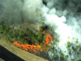 Обстановка с лесными пожарами