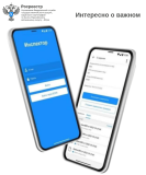 Мобильное приложение «Инспектор»: удобный сервис