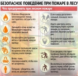Правила поведения населения при лесных пожарах