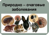 Профилактика природно-очаговых болезней Профилактика природно-очаговых болезней
