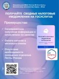 Материалы МРИ ФНС России