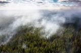 Запах дыма от лесных пожаров 