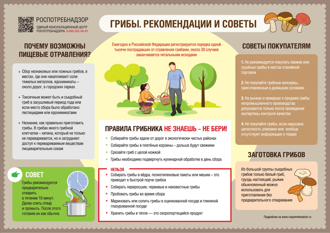 Рекомендации Роспотребнадзора. Как выбирать и готовить грибы.