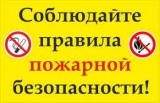 Общие требования пожарной безопасности в лесах