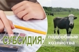 ПАМЯТКА ДЛЯ ПРЕТЕНДЕНТОВ НА ПОЛУЧЕНИЕ СУБСИДИЙ НА СОДЕРЖАНИЕ МАТОЧНОГО ПОГОЛОВЬЯ ЖИВОТНЫХ В ЛИЧНЫХ ПОДСОБНЫХ ХОЗЯЙСТВАХ В 2025 ГОДУ.