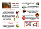 Правила пожарной безопасности в лесу. Уголовная ответственность.