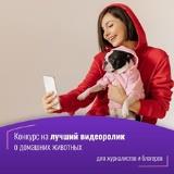 Конкурс среди журналистов и блогеров «ВКонтакте» на лучший видеоролик о домашних животных